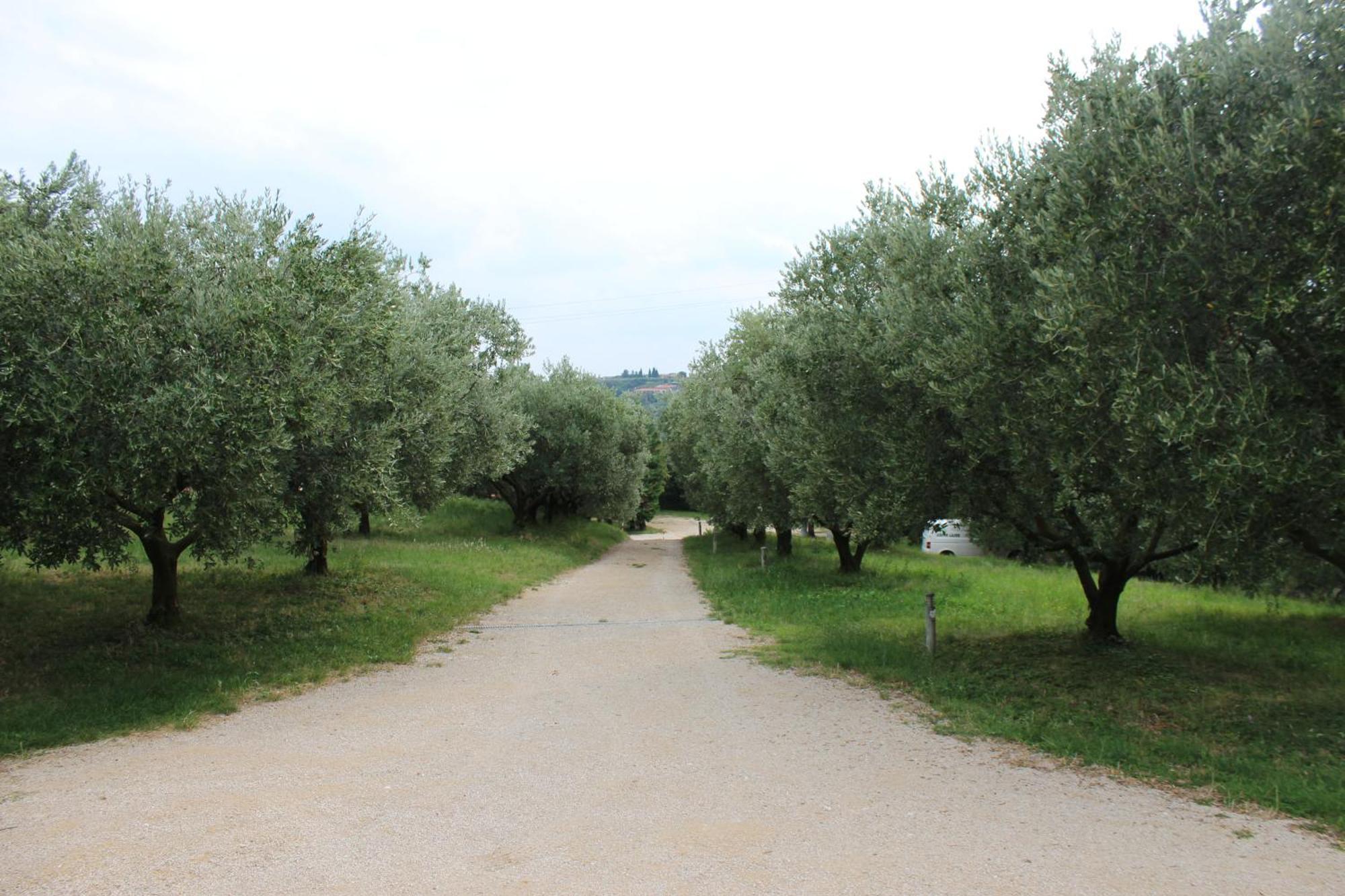 Agriturismo Spigolo Avesa Zewnętrze zdjęcie