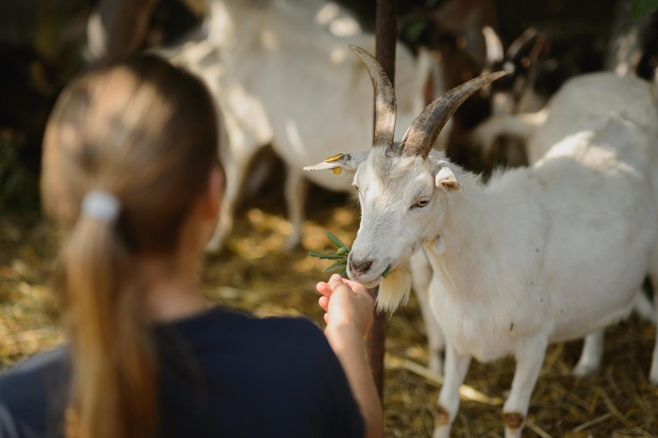 Agriturismo Spigolo Avesa Zewnętrze zdjęcie
