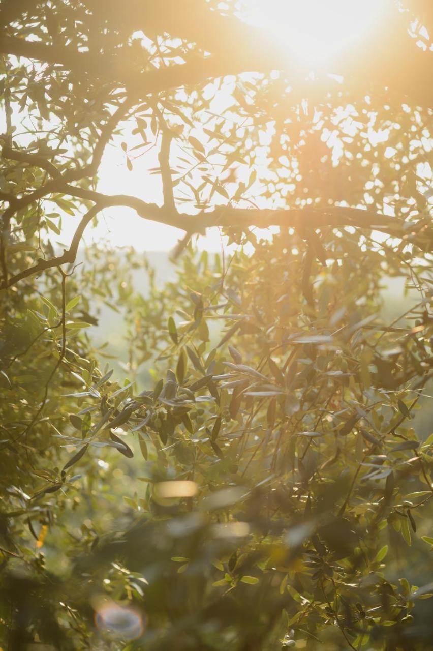 Agriturismo Spigolo Avesa Zewnętrze zdjęcie