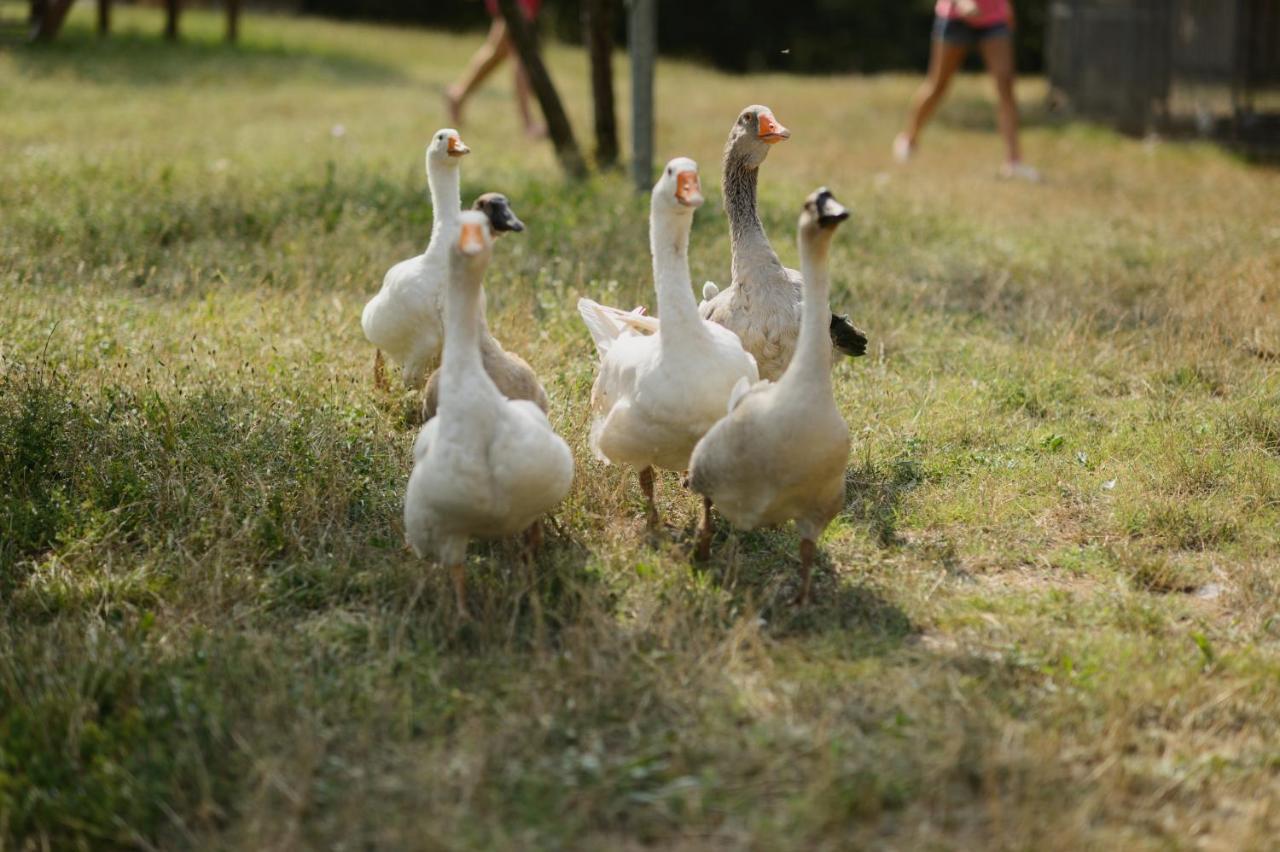 Agriturismo Spigolo Avesa Zewnętrze zdjęcie